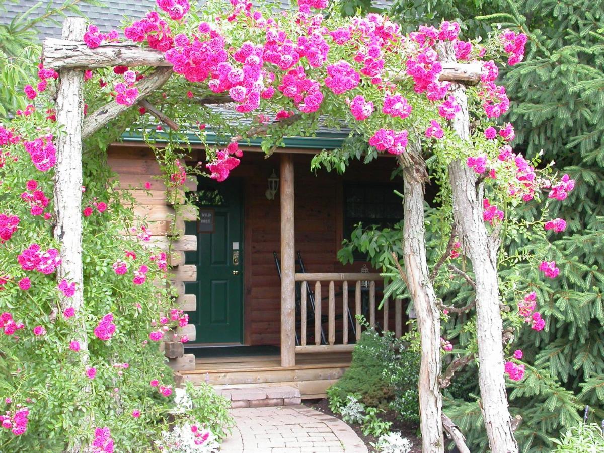 Wild Rose Cabin By Amish Country Lodging Миллерсберг Экстерьер фото